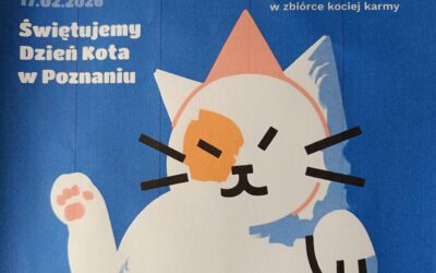 Zbiórka karmy dla kotów